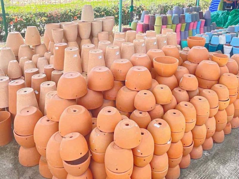 กระถางต้นไม้ราคาส่ง